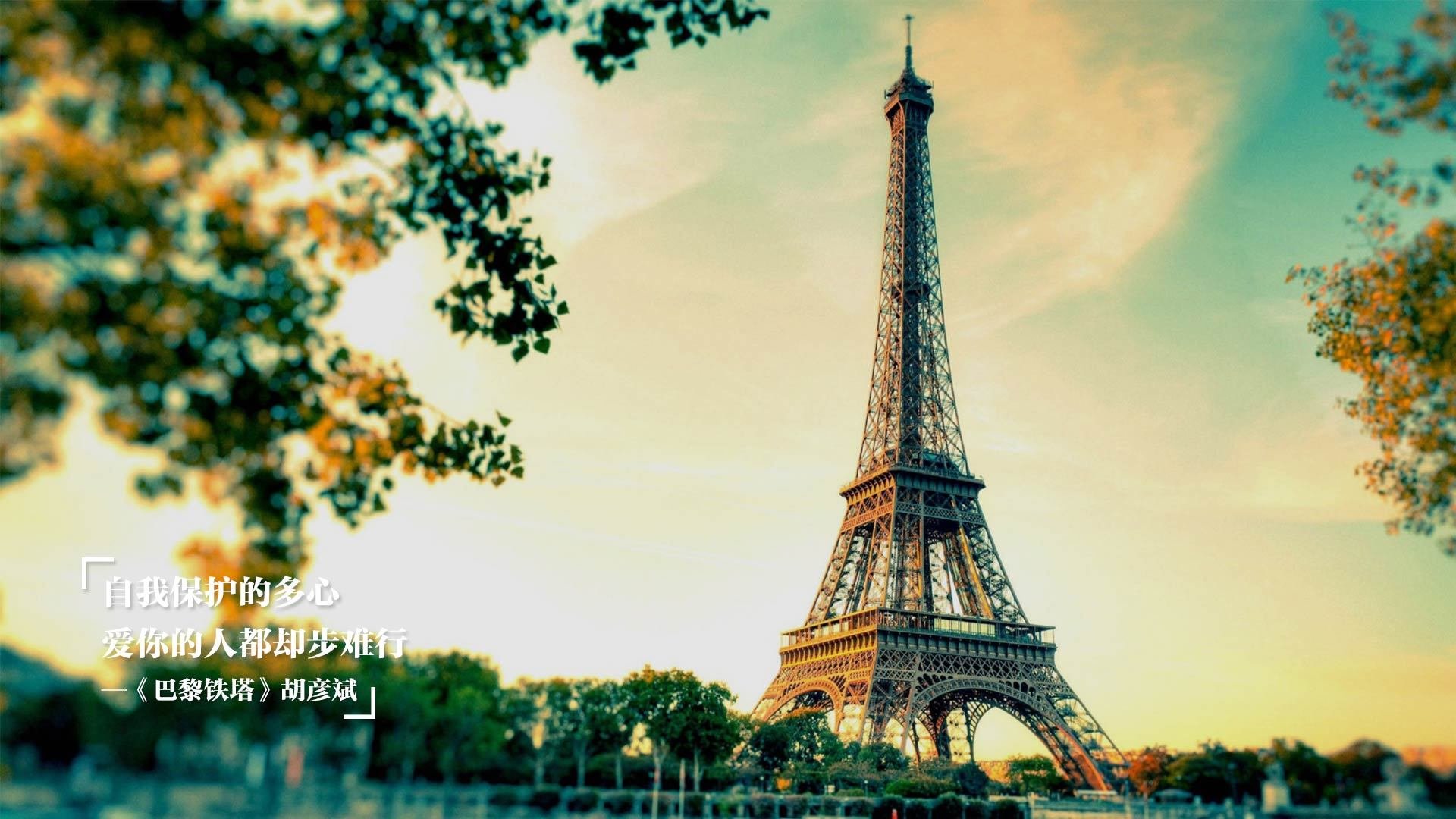 太阳推出“AI裁判互动日”,球迷可在线提出执法意见,裁判的太阳