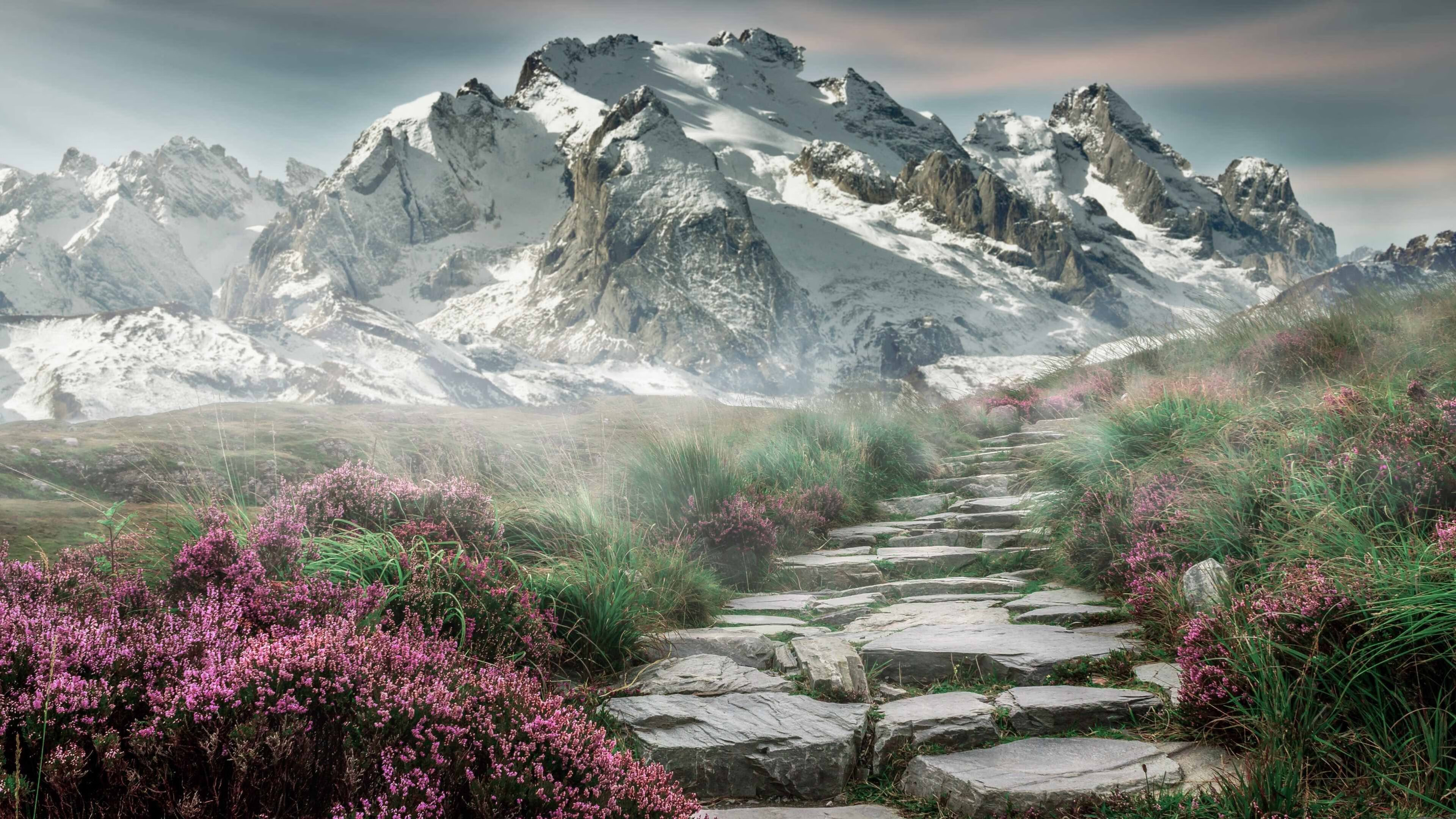 天津津门虎调整战术取得连胜,天津津门虎战况