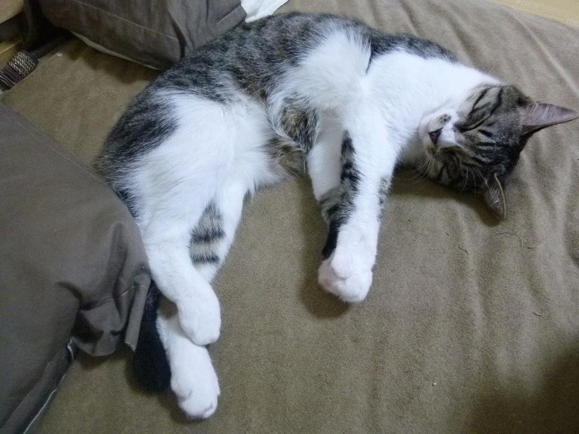 机构合作推动生态完善：高校、企业、平台共同育人育内容，深化校企合作机制