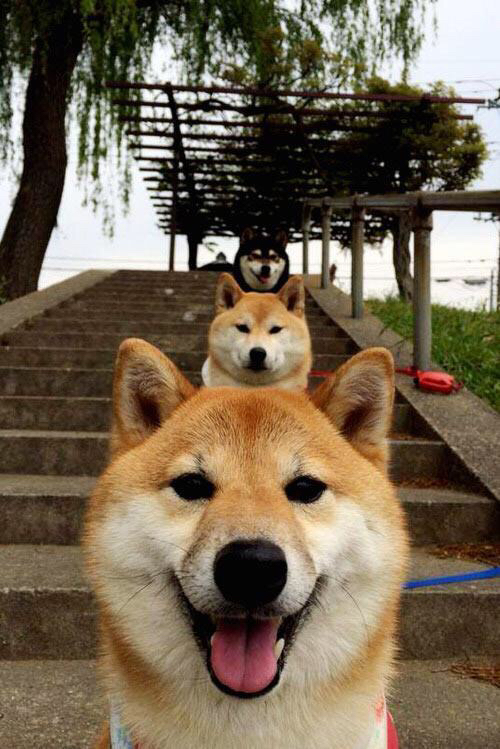 特色悬崖攀岩,挑战极限的勇气与体能考验,崖壁攀岩