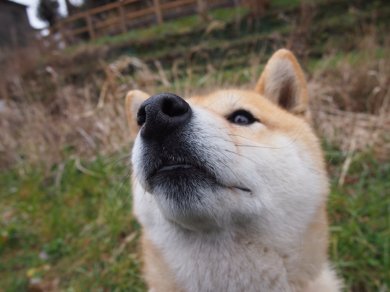 JIU YOU GAME-足球场馆智能安检系统覆盖主要城市，公共安全保障提升，足球场设备