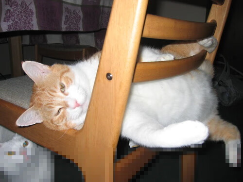 九游娱乐中心-足球训练教材进入全国体育院校课程体系，足球已被纳入学校体育课程必修内容