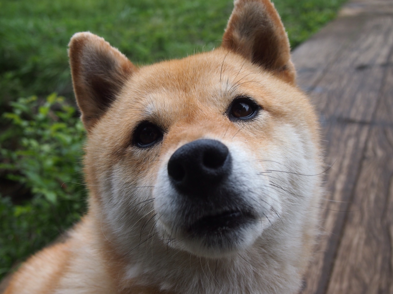 九游登录入口-KPL赛事视频回放平台升级，kpl赛事直播回放哪里看