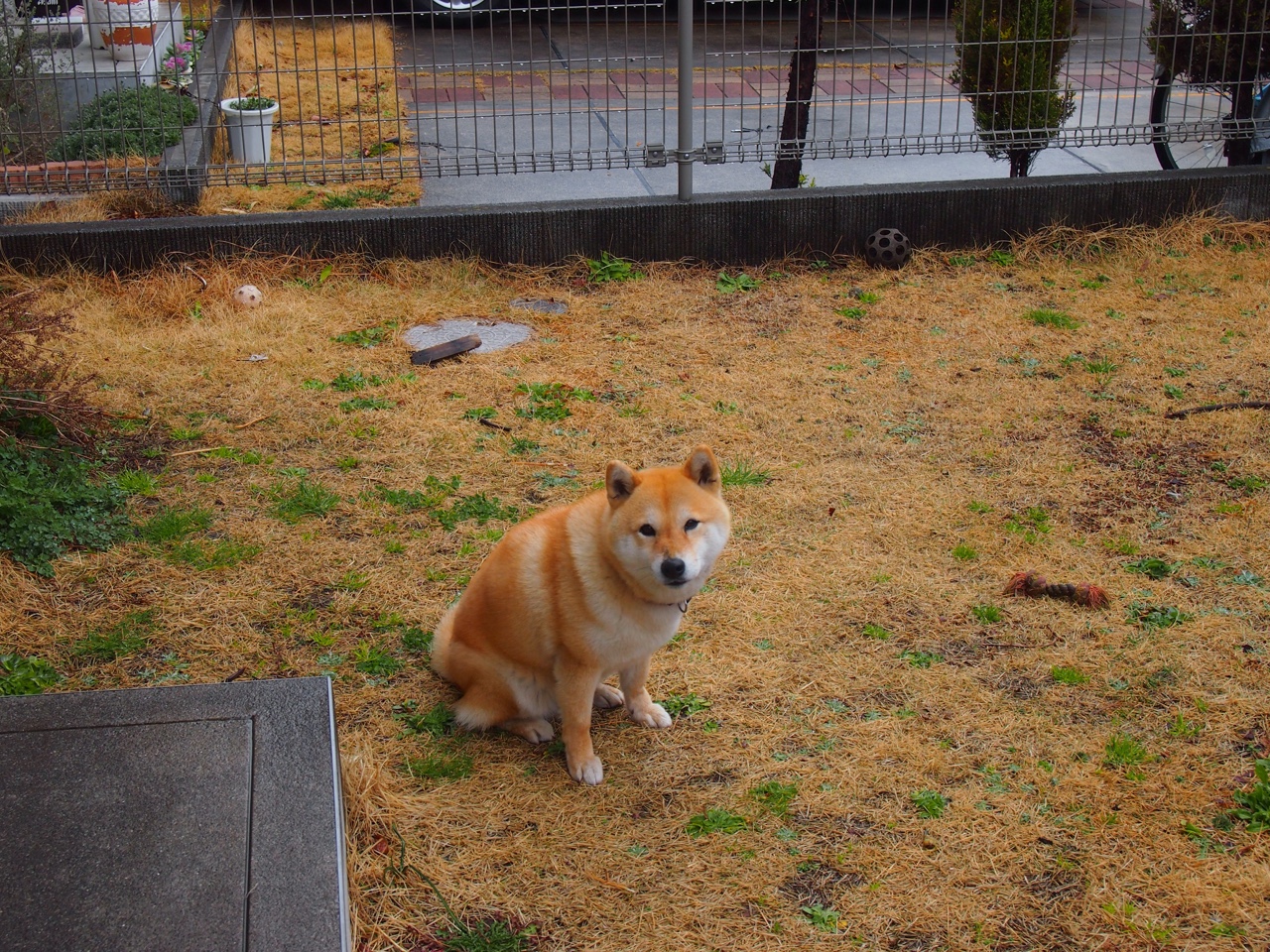 Jiuyou-加拿大国家队备战国际比赛，加拿大国家队排名