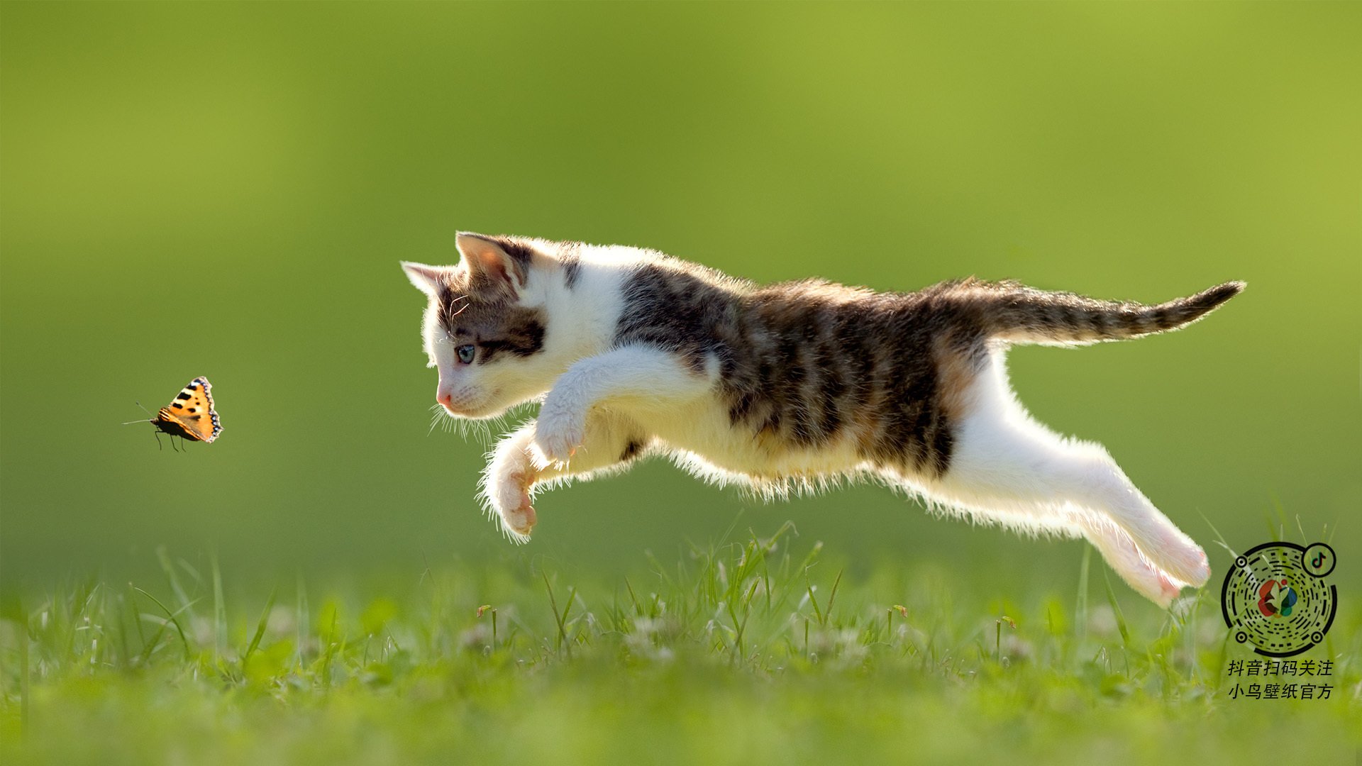 北京国安再获胜利,积分赶超对手,北京国安赢了吗